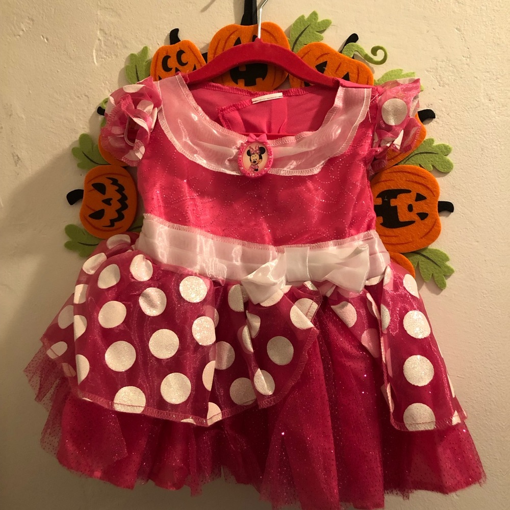 Minnie Costume